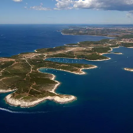 Pet Friendly La Bella Istriana With Pool Near The Apartment Porec