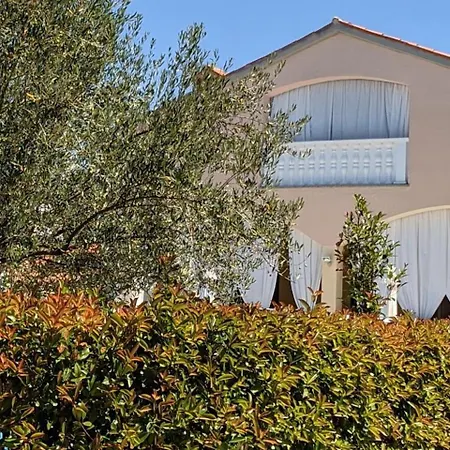 Pet Friendly La Bella Istriana With Pool Near The Apartment